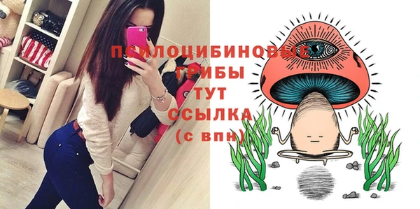 первитин Богданович