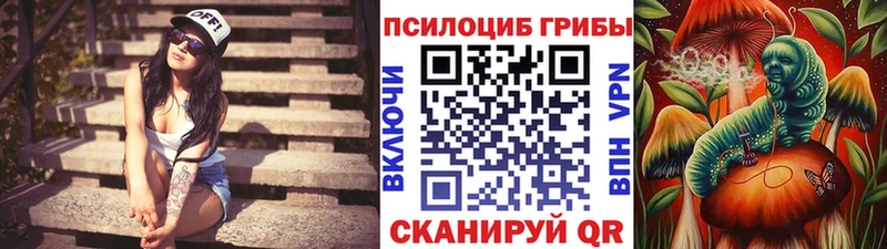 Галлюциногенные грибы ЛСД  Купить где  Выборг 