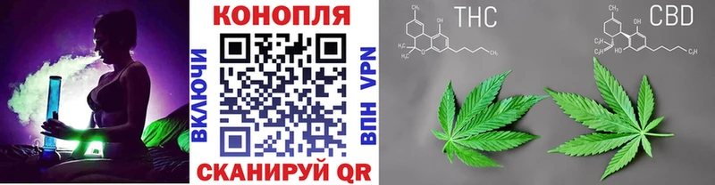 Купить закладки  Выборг  Канабис план 